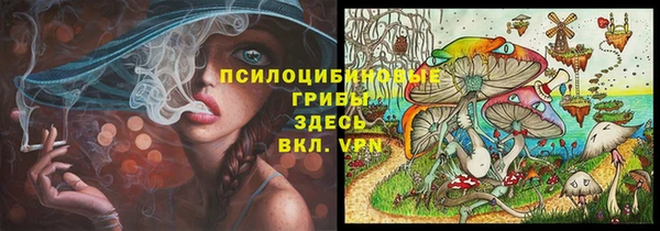 тгк Абинск