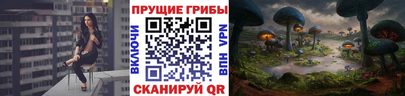 Галлюциногенные грибы Cubensis  Кремёнки 